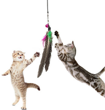 Cat Toy Feather Teaser Plastic Training Wand Stick Teasers With Bell Kitten Pet Fun