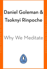 Why We Meditate - 7 Simple Practices For A Calmer Mind