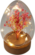 LED-pyntegjenstand egg med tørkede blomster