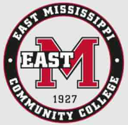 East Mississippi Community College Seal Men's T-Shirt - Grey - XXL