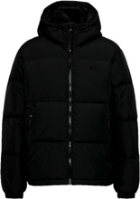 Lacoste Quilted Winter Jacket Black