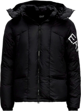 Armani EA7 Winter Hooded Puffer Jacket Black