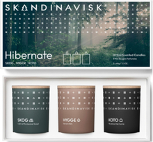 Hibernate Mini Candle Giftset 65G X 3 Duftlys Multi/patterned Skandinavisk