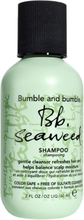 Bumble and bumble Seaweed Shampoo 60 ml