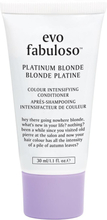 Evo Fabuloso Platinum Blonde Toning Shampoo 30 ml