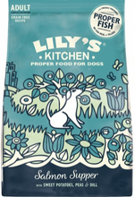 Lily's Kitchen Adult Salmon Supper med sötpotatis, ärtor & dill - 1 kg
