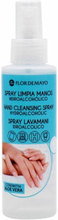 Hydroalkoholisk gel Flor de Mayo Spray Aloe Vera (125 ml)