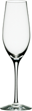 Orrefors - Merlot champagneglass 33 cl