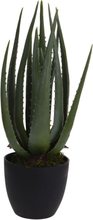 ProGarden Konstväxt i kruka Aloe Vera 25x45 cm