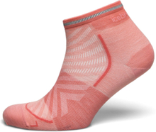 Women Merino Run+ Ultralight Mini Sport Socks Footies-ankle Socks Pink Icebreaker