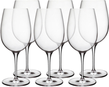 Rødvinsglas Stort Palace Home Tableware Glass Wine Glass Red Wine Glasses Nude Luigi Bormioli