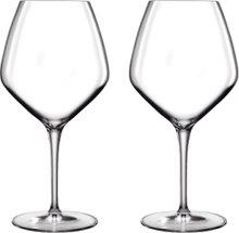 Rødvinsglas Pinot Noir/Rioja Atelier Home Tableware Glass Wine Glass Red Wine Glasses Nude Luigi Bormioli