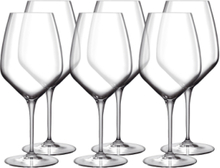 Rødvinsglass Chianti Lb Atelier Home Tableware Glass Wine Glass Red Wine Glass Nude Luigi Bormioli*Betinget Tilbud
