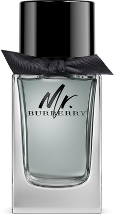 Burberry Mr Burberry EdT 100 ml