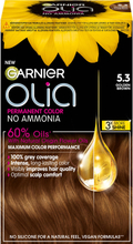 Garnier Olia Permanent Color 5.3 Golden Brown
