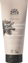 Urtekram Start Over Anti-Dandruff Conditioner Sweet Ginger Flower