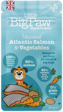 Little BigPaw Steamed Salmon & Vegetables (150 g)