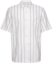 Short-Sleeved Loose Shirt Tops Shirts Short-sleeved White Revolution