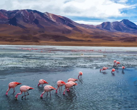 Malen nach Zahlen - Flamingos in Bolivien, mit Rahmen