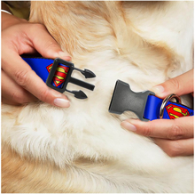 Buckle-Down DC Comics Superman Shield Plastic Clip Dog Collar - Blue (Various Sizes) - S/6-9 Inches