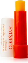 Sylveco Cinnamon Sea Buckthorn Lip Balm 4 g