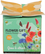 Buzzy Flower Gift Insekten Blumen Misschung