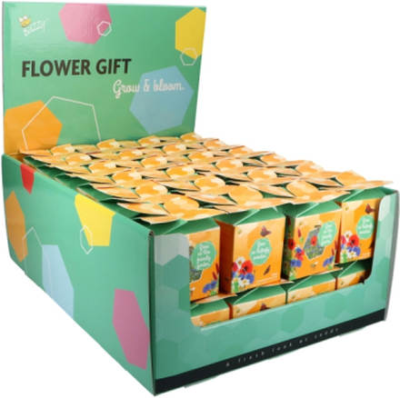 Buzzy Flower Gift (48x) Insekten-Blumenmix (Display 48x)