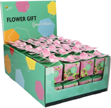 Buzzy Flower Gift (48x) GlÃÂ¼cksklee - Trifolium (Display 48x)