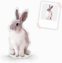 Personalisiertes Kaninchenkissen