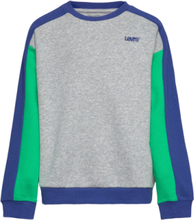 Levi's® Colorblock Crewneck Sweat-shirt Genser Grå Levi's*Betinget Tilbud