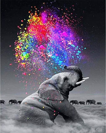 Elefant sprüht Farbe – Malen nach Zahlen, 40x50cm / Fertig bespannt / 24 Farben (Einfach)