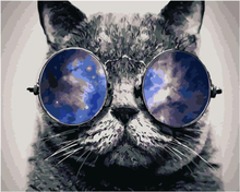 Katze mit Sonnenbrille – Malen nach Zahlen, 50x40cm / Ohne Rahmen / 24 Farben (Einfach)