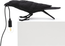 Seletti - Bird Lamp Playing Tischleuchte Außen Schwarz