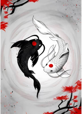 Malen nach Zahlen - Schwarzer und Weißer Fisch, 50x60cm / Mit Keilrahmen / 24 Farben (Einfach)