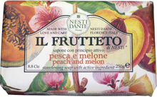 Nesti Dante IL Frutteto Peach & Melon 250 g