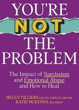 Youre Not the Problem - Sunday Times bestseller