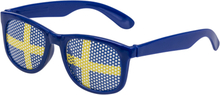 Glasögon Heja Sverige - One size