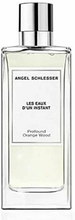 Parfym Herrar Angel Schlesser Angel Schlesser 150 ml
