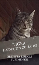Tiger findet ein Zuhause