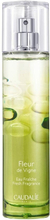 Unisex parfume Caudalie Fleur de Vigne Fleur de Vigne Eau Fraiche (50 ml)