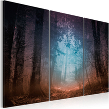 Canvas Tavla - Edge of the forest - triptych - 60x40