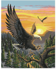 Adler, Sonnenuntergang – Malen nach Zahlen, 40x50cm / Mit Keilrahmen / 24 Farben (Einfach)