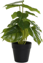Dekorativ plante DKD Home Decor Sort Grøn PVC PP (20 x 20 x 30 cm)