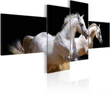 Lærredstryk Animal world- white horses galloping
