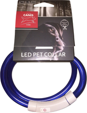 Hundhalsband Active Canis Silikon USB LED, Blå