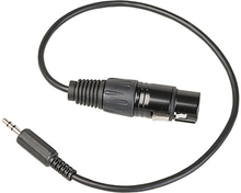 Pulse Mikrofonkabel XLR/3,5mm 38cm, Pulse