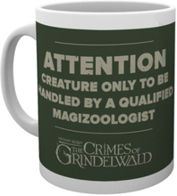 Fantastic Beasts: The Crime of Grindelwald: Attention