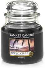 Black Coconut Medium Jar