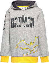 Hoodie Tops Sweatshirts & Hoodies Hoodies Grey Batman