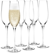Holmegaard Cabernet Champagne 29 cl 6-pack 1 set